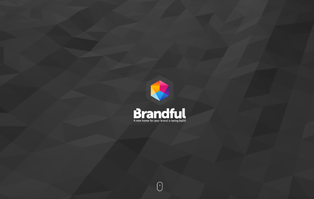 An image of the Brandful.io project.